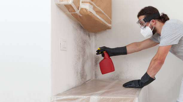 Professional Crawl Space Mold Removal technician working in Newton Center, MA
