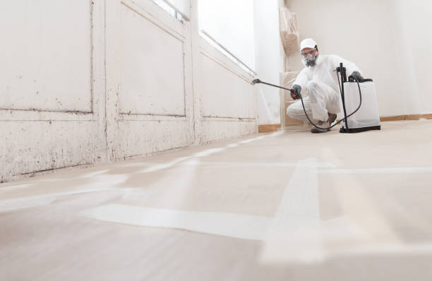 24/7 Emergency Crawl Space Mold Removal experts in Newton Center, MA